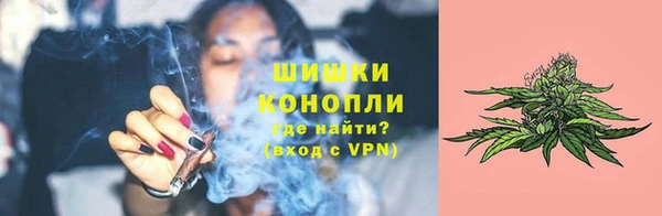 мдпв Коряжма